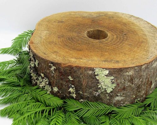Izaiaren Zangoa / Pied de sapin – Alos