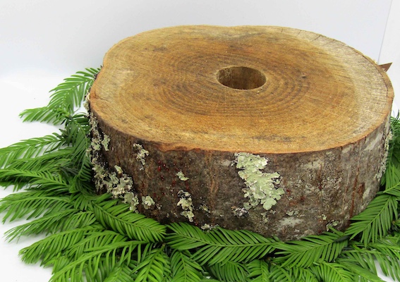 pied de sapin integrazio batzordea